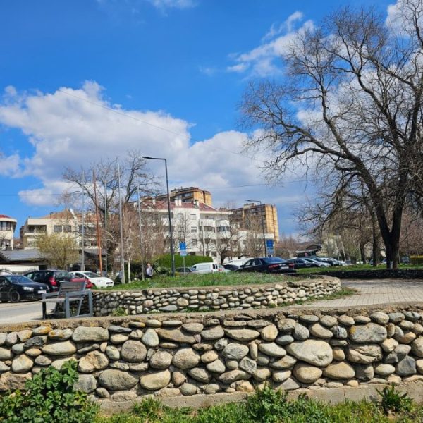 Beživotno telo žene pronađeno u…