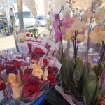 Dan žena obojen cvećem: Mitrovčani&hellip;