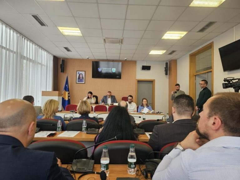 Bez albanskih odbornika na sednici SO Severna Mitrovica tokom minuta ćutanja za žrtve Martovskog nasilja