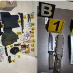 Pokušaj ubistva u Severnoj Mitrovici:&hellip;