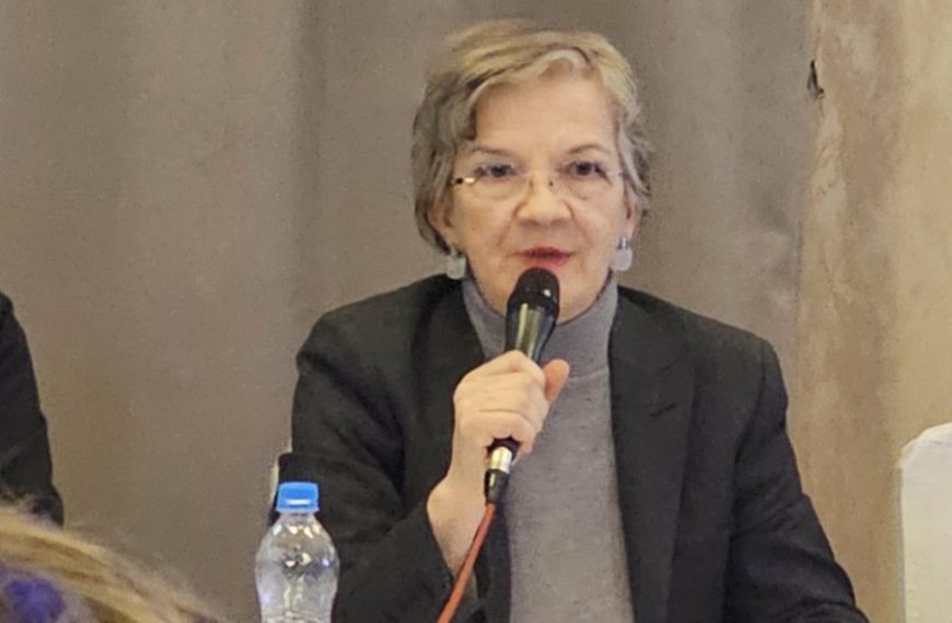 Prof. Pitulić: Nas može da brani onaj ko se nije zakleo na Ustavu Kosova – izgubiti državu je najveća tuga