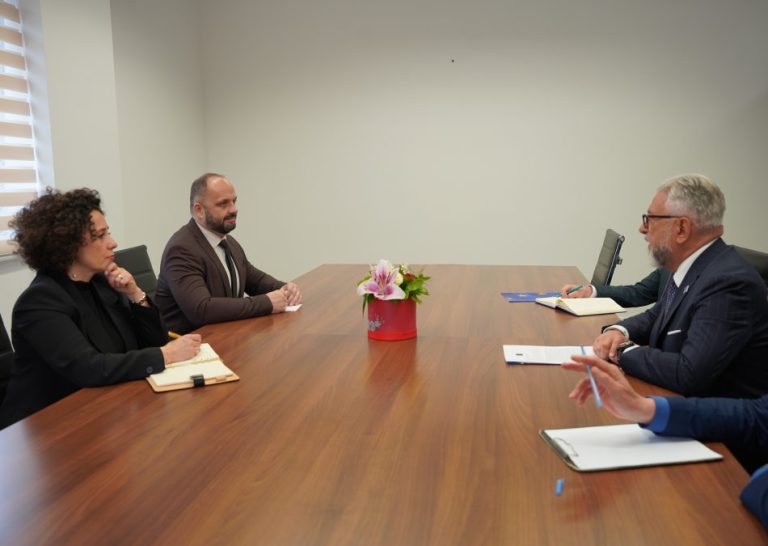 Severna Mitrovica: Sastanak sa šefom Euleksa o bezbednosnoj situaciji i funkcionisanju lokalne samouprave