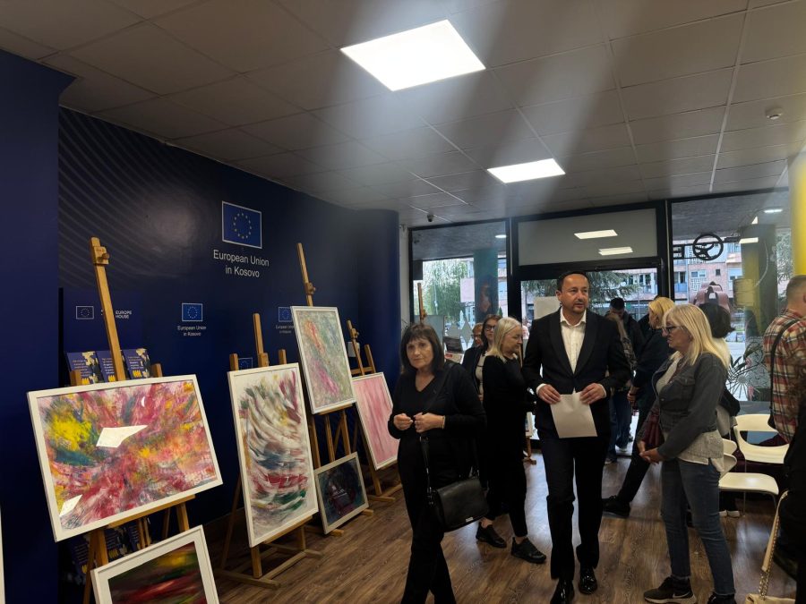 Svetlost koja ne bledi: Izložba posvećena Aleksandri Negovanović otvorena u Evropskoj kući