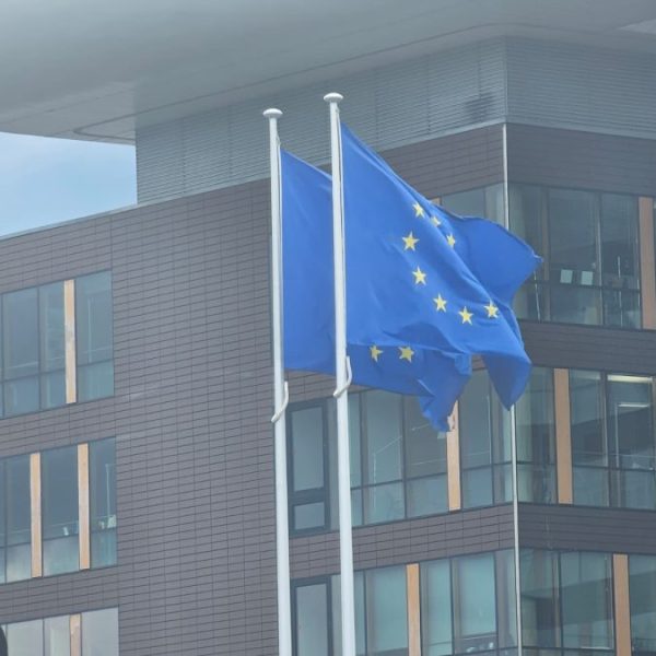 Godišnji izveštaj o napretku: Kosovo&hellip;