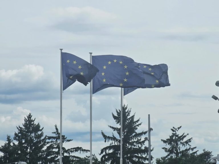 EU pod irskim vođstvom: Kosovo van agende, Srbija čeka otvaranje klastera za članstvo