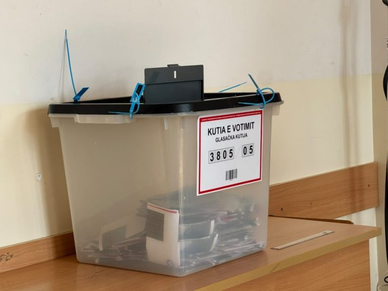 Preko 7.000 paketa sa glasačkim listićima iz dijaspore odobreno, 142 odbijena