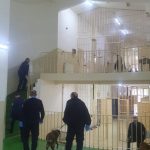 Zatvorenik pronađen mrtav u ćeliji…
