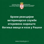 Potvrđeno žarište boginja ovaca i&hellip;