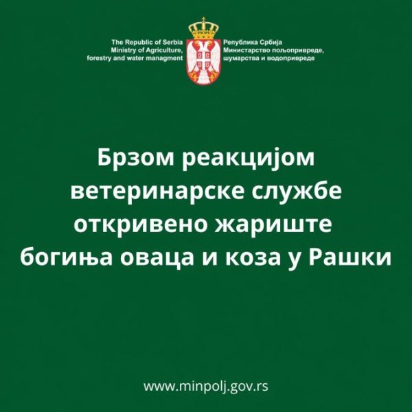 Potvrđeno žarište boginja ovaca i&hellip;