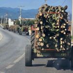 U Uroševcu zaplenjena drva bez…