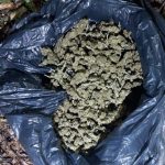 Uhapšen zbog posedovanja narkotika na…