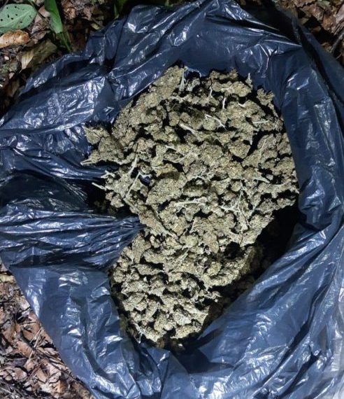 Uhapšen zbog posedovanja narkotika na Brezovici