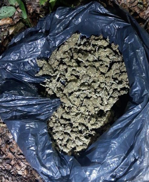 Uhapšen zbog posedovanja narkotika na&hellip;