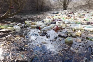 Goraždevac između postrojenja otpadnih voda i zagađene reke,&hellip;