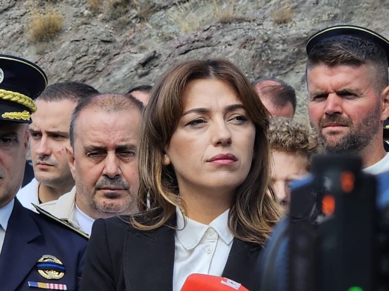 Hadžiju se obratila Ustavnom sudu