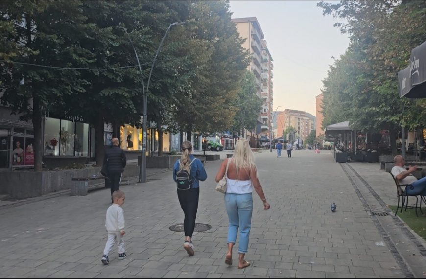 Za nedelju dana na Kosovu zabeleženo 47 slučajeva nasilja u porodici