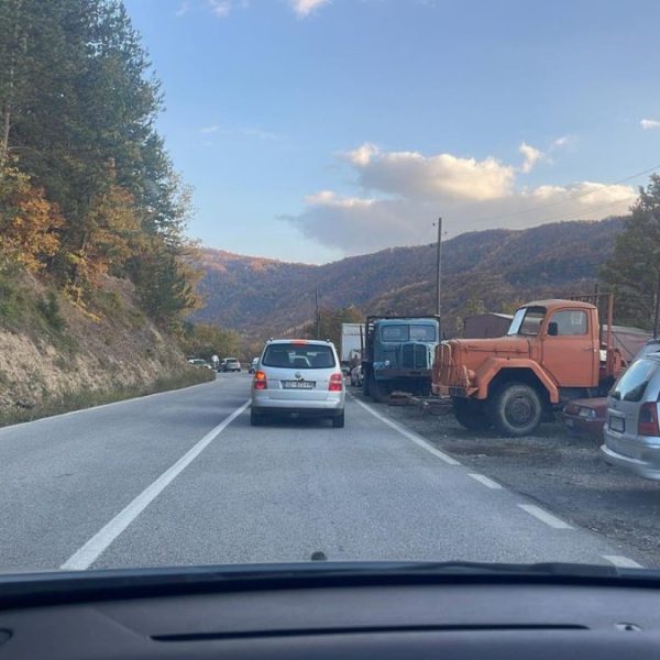 RIK: Do 14 časova glasalo…