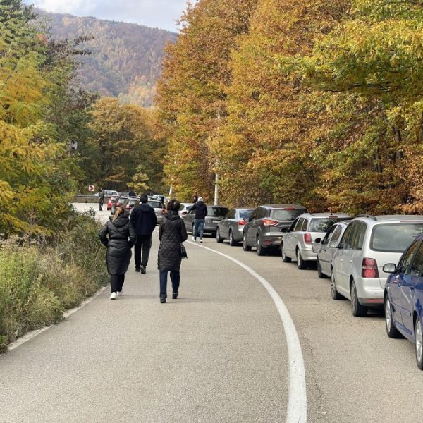 Građani sa KiM glasaju u…